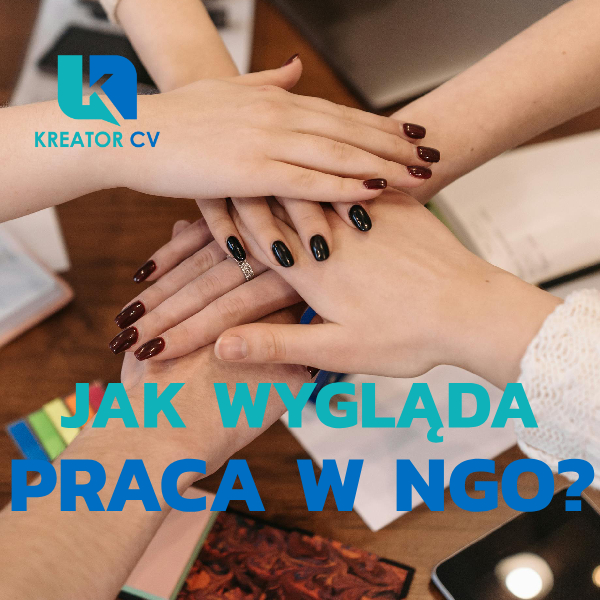 jak wygląda praca w NGO? kreator CV