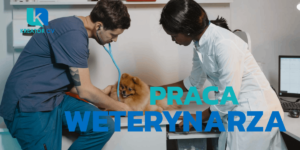 praca weterynarza