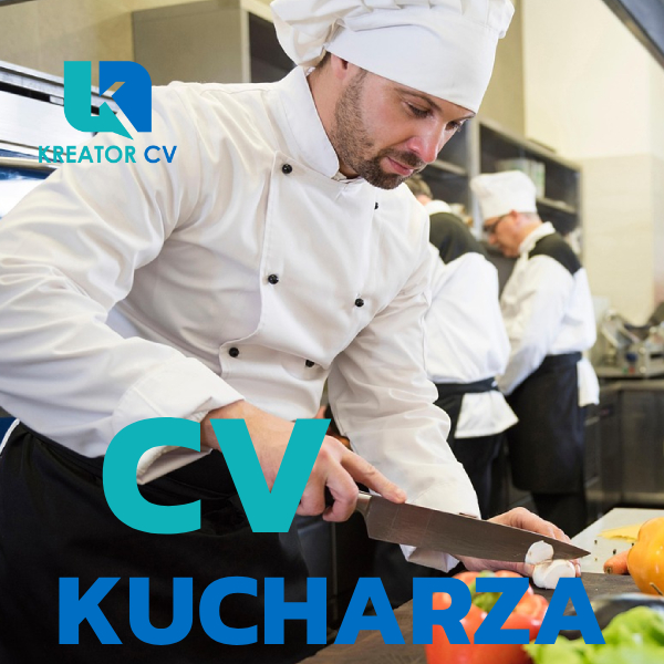 cv kucharza
