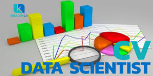 cv data scientist