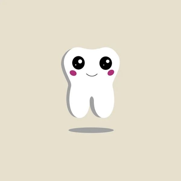cv lekarza dentysty