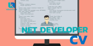net developer cv