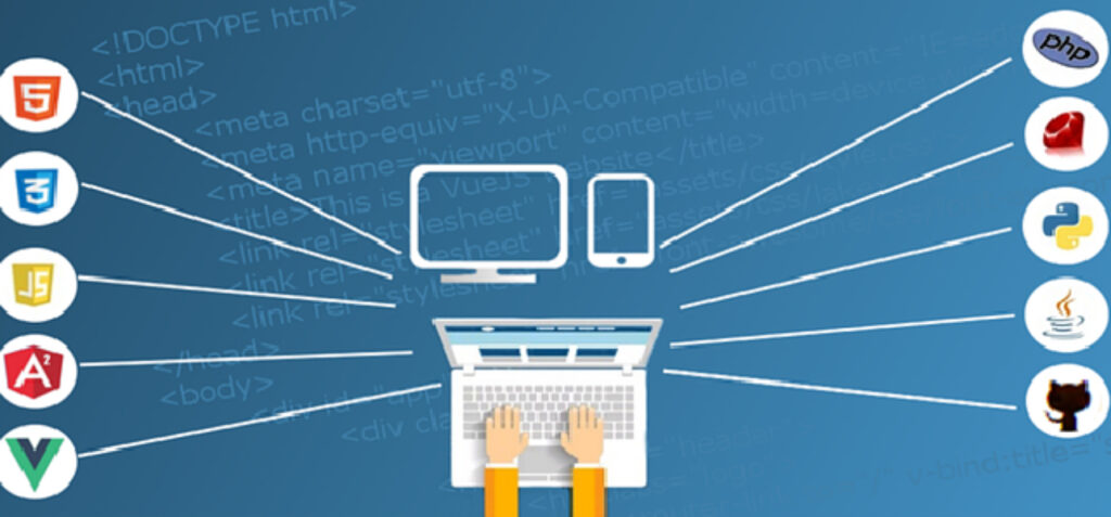 web developer cv