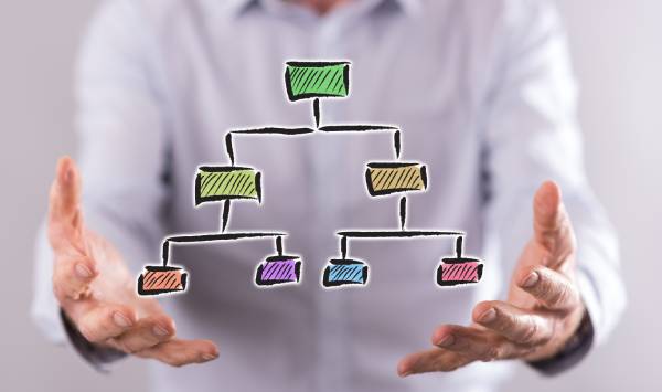 struktura funkcjonalna