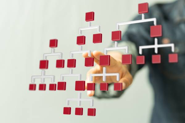 struktura macierzowa